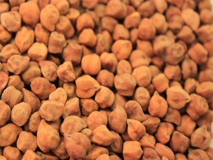 The purchase of 42 thousand quintals of gramm 2.5 thousand farmers | अडीच हजार शेतकऱ्यांच्या ४२ हजार क्विंटल हरभऱ्याची खरेदी