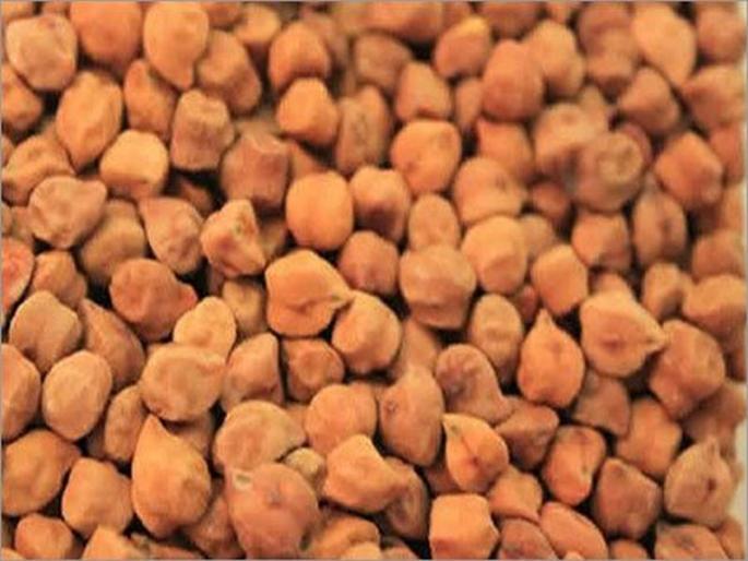 3248 MT Gram stock sanctioned! | ३२४८ मेट्रिक टन हरभरा साठा मंजूर! 3248 MT Gram stock sanctioned! | ३२४८ मेट्रिक टन हरभरा साठा मंजूर!