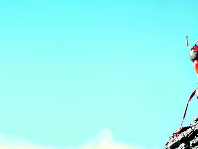 Paints color | कष्टाचा रंग Paints color | कष्टाचा रंग