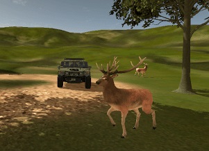 Cannon attack in the town of Nandurshootte | नांदूरशिंगोटेत श्वानाच्या हल्ल्यात हरणाचा मृत्यू