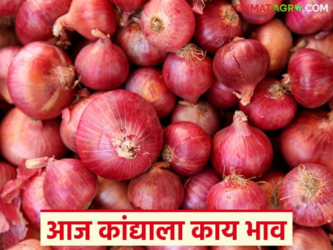 Latest News Kanda Market Increased in Pune, Solapur, decreased in Nashik, read November 11 onion market | Kanda Market : पुणे, सोलापूरमध्ये वाढले, नाशिकमध्ये घसरले, वाचा 11 नोव्हेंबरचे कांदा मार्केट