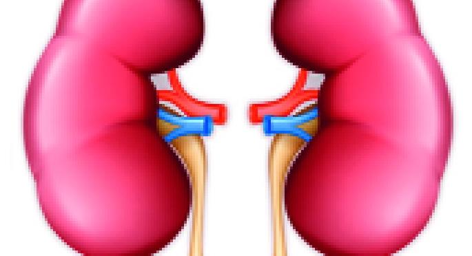 Tushar Kanase's organ donation campaign in Karandwadi is a motivating factor for the community | कारंदवाडी येथील तुषार कणसे यांची अवयव दान मोहीम समाजासाठी ठरतेय प्रेरक Tushar Kanase's organ donation campaign in Karandwadi is a motivating factor for the community | कारंदवाडी येथील तुषार कणसे यांची अवयव दान मोहीम समाजासाठी ठरतेय प्रेरक