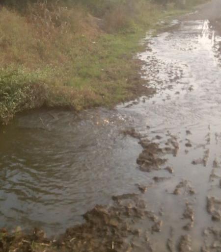 Stop the OLA pipeline leakage at Hartale | मुक्ताईनगर-खामखेडा रस्त्यावरओडीएच्या पाईपलाईनची गळती थांबता थांबेना Stop the OLA pipeline leakage at Hartale | मुक्ताईनगर-खामखेडा रस्त्यावरओडीएच्या पाईपलाईनची गळती थांबता थांबेना