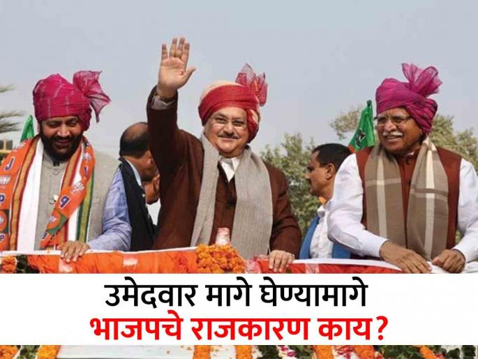 BJP's big game in Haryana! Candidate from Sirsa Constituency withdrew | भाजपाची हरियाणात मोठी खेळी! सिरसा मतदारसंघातील उमेदवार घेतला मागे BJP's big game in Haryana! Candidate from Sirsa Constituency withdrew | भाजपाची हरियाणात मोठी खेळी! सिरसा मतदारसंघातील उमेदवार घेतला मागे