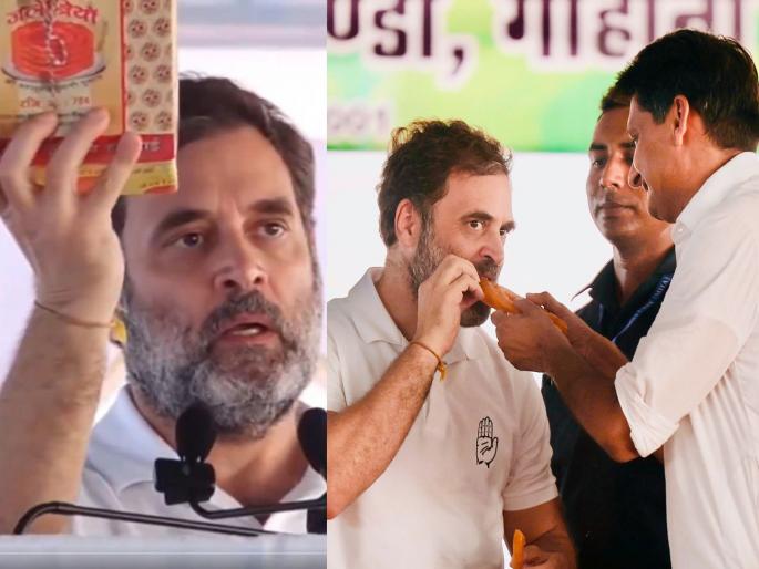 haryana assembly election results 2024 Mallikarjun Khargeji please address for that jalebi Union Minister Giriraj Singh taunts Rahul Gandhi | "मल्लिकार्जुन खर्गेजी पत्ता सांगा, 'ती' जिलेबी...", भाजप खासदार तथा केंद्रीय मंत्र्याचा राहुल गांधींना बोचरा टोला haryana assembly election results 2024 Mallikarjun Khargeji please address for that jalebi Union Minister Giriraj Singh taunts Rahul Gandhi | "मल्लिकार्जुन खर्गेजी पत्ता सांगा, 'ती' जिलेबी...", भाजप खासदार तथा केंद्रीय मंत्र्याचा राहुल गांधींना बोचरा टोला