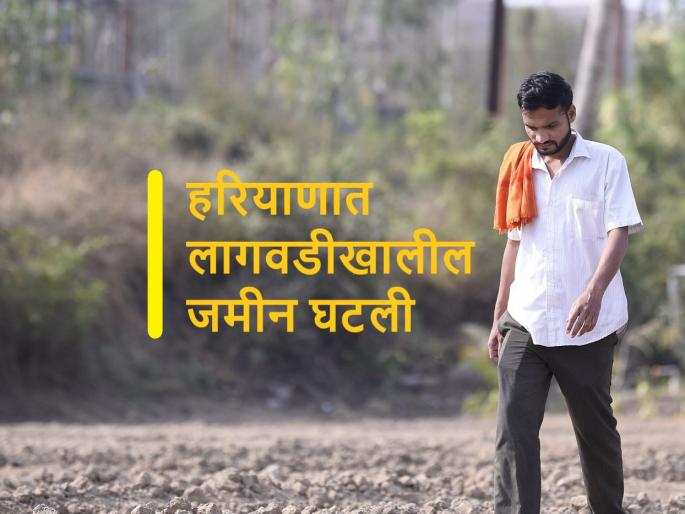 Haryana farmers will farming in African countries | हरियाणाचे शेतकरी करणार आफ्रिका आणि इस्त्रायलमध्ये शेती