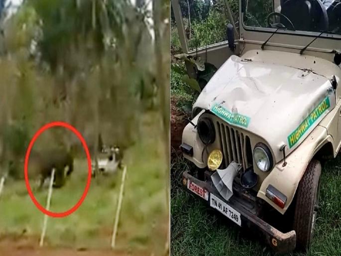 Elephant got angry because of Tamilnadu forest department jeep’s horn-SRJ | आता माझी सटकली.... वनविभागाच्या जीपवरील कर्णकर्कश हॉर्नमुळे हत्तीला जेव्हा राग येतो... कर्मचाऱ्यांनी ठोकली धूम Elephant got angry because of Tamilnadu forest department jeep’s horn-SRJ | आता माझी सटकली.... वनविभागाच्या जीपवरील कर्णकर्कश हॉर्नमुळे हत्तीला जेव्हा राग येतो... कर्मचाऱ्यांनी ठोकली धूम