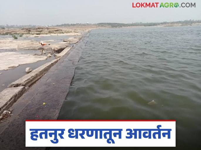 Latest News agriculture News second round of non-irrigation from Hatnur Dam, read in detail | Hatnur Dam : हतनूर धरणातून बिगर सिंचनासाठी यंदाचे दुसरे आवर्तन, वाचा सविस्तर  Latest News agriculture News second round of non-irrigation from Hatnur Dam, read in detail | Hatnur Dam : हतनूर धरणातून बिगर सिंचनासाठी यंदाचे दुसरे आवर्तन, वाचा सविस्तर