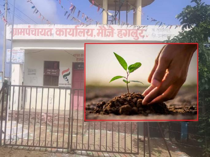 Need Marriage Registration Certificate? Plant trees first; A unique initiative of Hagalur Gram Panchayat | विवाह नोंदणी प्रमाणपत्र हवेय? अगोदर वृक्ष लावा; हगलूर ग्रामपंचायतीचा अनोखा उपक्रम Need Marriage Registration Certificate? Plant trees first; A unique initiative of Hagalur Gram Panchayat | विवाह नोंदणी प्रमाणपत्र हवेय? अगोदर वृक्ष लावा; हगलूर ग्रामपंचायतीचा अनोखा उपक्रम