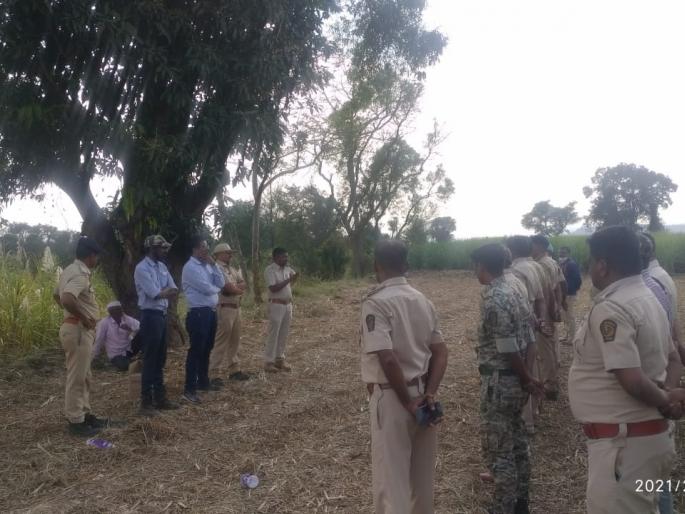 Elephant route to Pimpalgaon forest, north | उत्तुर,पिंपळगाव जंगलाकडे हत्ती मार्गस्थ Elephant route to Pimpalgaon forest, north | उत्तुर,पिंपळगाव जंगलाकडे हत्ती मार्गस्थ