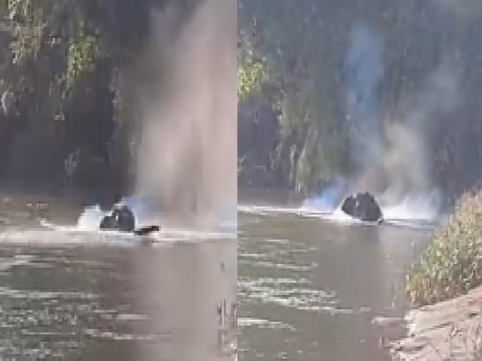 Firecrackers and twine bombs thrown at elephants in Sindhudurg, forest department makes clarification as wave of anger erupts from environmentalists | Sindhudurg: हत्तीवर फटाके-सुतळी बॉम्ब फेकले, पर्यावरणप्रेमीतून संतापाची लाट उसळताच वनविभागाकडून खुलासा