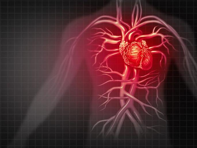 Severe headache high blood pressure | 'हा' असू शकतो High Blood Pressure चा प्राथमिक संकेत, वेळीच व्हा सावध! Severe headache high blood pressure | 'हा' असू शकतो High Blood Pressure चा प्राथमिक संकेत, वेळीच व्हा सावध!