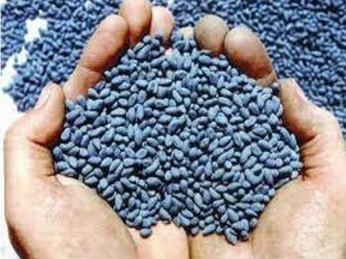 5.60 crore Bhurdand due to increase in price of BT seeds; 43 per packet increased by Rs | बीटी बियाण्याच्या दरवाढीने ५.६० कोटींचा भुर्दंड; पाकिटामागे ४३ रुपये वाढले 5.60 crore Bhurdand due to increase in price of BT seeds; 43 per packet increased by Rs | बीटी बियाण्याच्या दरवाढीने ५.६० कोटींचा भुर्दंड; पाकिटामागे ४३ रुपये वाढले