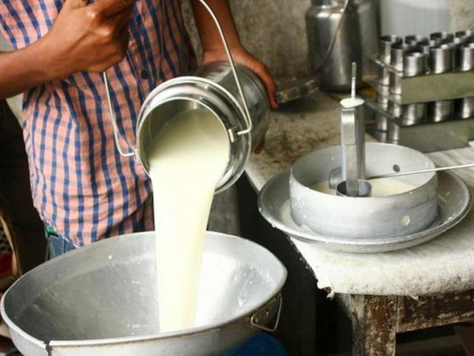 Cow milk prices fell in summer, recession likely; The rate will decrease again during the rainy season | ऐन उन्हाळ्यात गाईचे दूध दर पडले, मंदीची शक्यता; पावसाळ्यात पुन्हा दर कमी होणार Cow milk prices fell in summer, recession likely; The rate will decrease again during the rainy season | ऐन उन्हाळ्यात गाईचे दूध दर पडले, मंदीची शक्यता; पावसाळ्यात पुन्हा दर कमी होणार