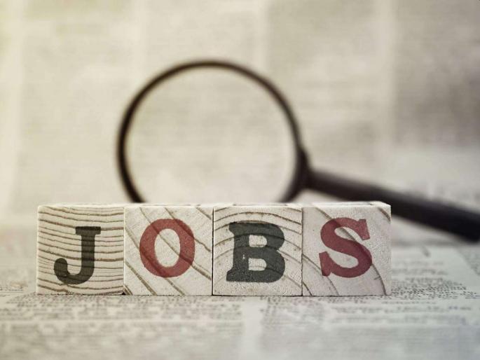 Recruitment of hundreds of posts for Cashier, Electrician, Clerk, Nurse in Aiims Bhopal | Government Jobs: कॅशिअर, इलेक्ट्रीशियन, क्लार्क, नर्ससाठी शेकडो पदांवर भरती; केंद्र सरकारी नोकरीची संधी Recruitment of hundreds of posts for Cashier, Electrician, Clerk, Nurse in Aiims Bhopal | Government Jobs: कॅशिअर, इलेक्ट्रीशियन, क्लार्क, नर्ससाठी शेकडो पदांवर भरती; केंद्र सरकारी नोकरीची संधी