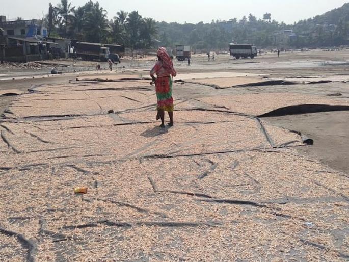 With government land swallowed up, it is now the turn of fishermen to dry fish on the beach | सरकारी जागा गिळल्याने आता समुद्र किनारी मासळी सुकवण्याची मच्छीमारांवर पाळी 