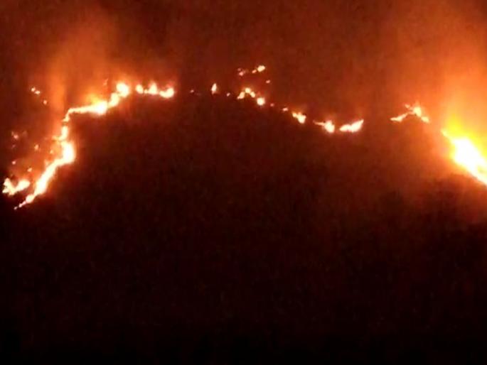 Video: 300 hectares of forest in Thanepada Shivara burnt to ashes; Bamboo plantations were planted with grass | Video: ठाणेपाडा शिवारातील ३०० हेक्टर जंगल जळून खाक; बांबू रोपवन अन् गवताची होती लागवड Video: 300 hectares of forest in Thanepada Shivara burnt to ashes; Bamboo plantations were planted with grass | Video: ठाणेपाडा शिवारातील ३०० हेक्टर जंगल जळून खाक; बांबू रोपवन अन् गवताची होती लागवड