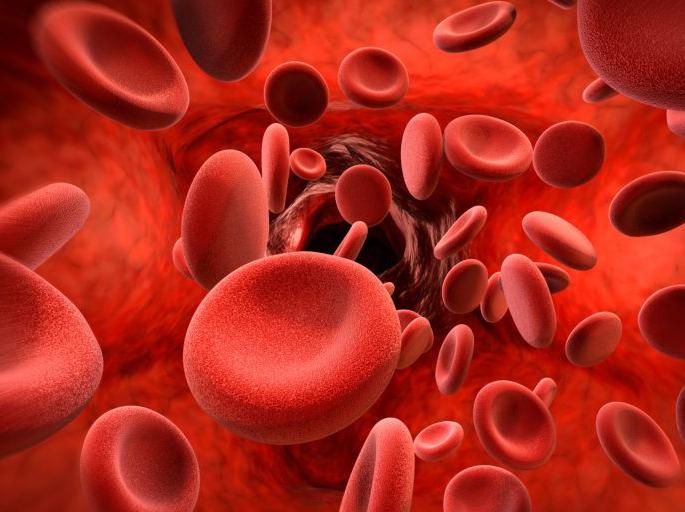 6 out of every 4 women in Mumbai suffer from anemia | मुंबईतील दर १० पैकी सहा महिलांना अॅनिमिया 6 out of every 4 women in Mumbai suffer from anemia | मुंबईतील दर १० पैकी सहा महिलांना अॅनिमिया