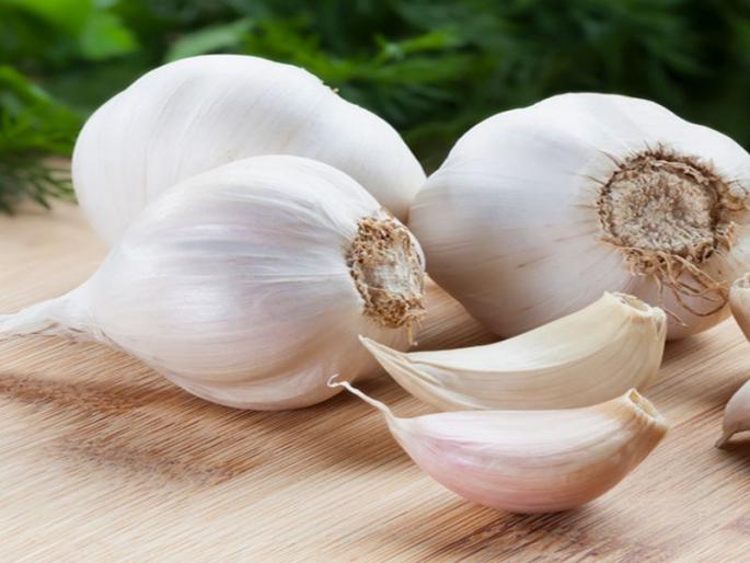 Do You Know These Health Benefits of Garlic? | लसणाचे हे आरोग्यदायी फायदे तुम्हाला माहीत आहेत का? Do You Know These Health Benefits of Garlic? | लसणाचे हे आरोग्यदायी फायदे तुम्हाला माहीत आहेत का?