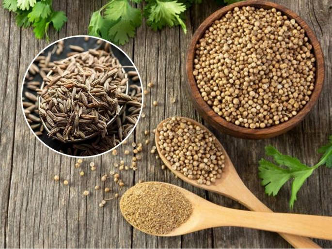healthy food tips, No matter how much delicious foods you eat, your digestion will improve, eat coriander-cumin powder every day | कितीही चमचमीत पदार्थ खाल्ले तरी पचेल-वाढेल पचनशक्ती, रोज ‘अशी’ खा धणे-जिरे पूड