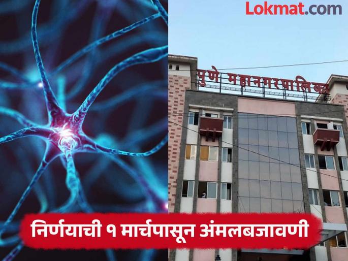 Funding for GBS treatment to end Decision of Pune Municipal Corporation | GBS: जीबीएस उपचारावरील आर्थिक मदत बंद होणार; पुणे महापालिकेचा निर्णय Funding for GBS treatment to end Decision of Pune Municipal Corporation | GBS: जीबीएस उपचारावरील आर्थिक मदत बंद होणार; पुणे महापालिकेचा निर्णय