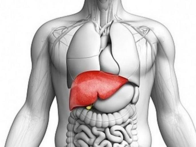 Eat these food items for a healthy liver | हेल्दी लिव्हरसाठी या पदार्थांचा आहारात करा समावेश