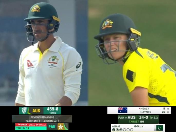 Australia vs Pakistan : Alyssa Healy and Mitchell Starc, Wife and husband are both batting against Pakistan at the same time  | AUS vs PAK : पती-पत्नी एकाच वेळी पाकिस्ताविरुद्ध खेळायला मैदानावर उतरले; पाहा नेमके काय घडले