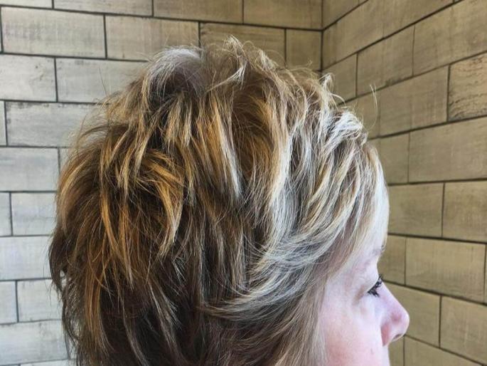 17 lakh haircut; 10 thousand km journey! | १७ लाखांचा हेअरकट; १० हजार किमी प्रवास! 17 lakh haircut; 10 thousand km journey! | १७ लाखांचा हेअरकट; १० हजार किमी प्रवास!