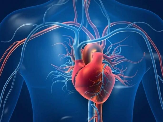 41-year-old organ donation, five patients get new life | ४१ वर्षांच्या तरुणाचे अवयवदान, पाच रुग्णांना नवीन आयुष्य 41-year-old organ donation, five patients get new life | ४१ वर्षांच्या तरुणाचे अवयवदान, पाच रुग्णांना नवीन आयुष्य