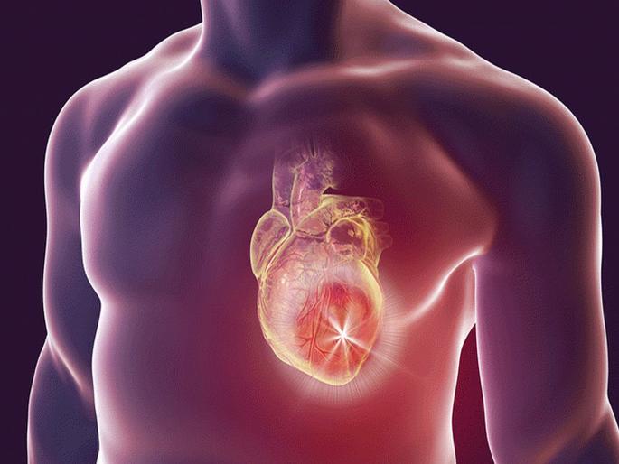 Medication to prevent heart attack it works on the basis of body clock | 'या' औषधाने टाळता येणार हार्ट अटॅकचा धोका; जाणून घ्या कसं करतं काम! Medication to prevent heart attack it works on the basis of body clock | 'या' औषधाने टाळता येणार हार्ट अटॅकचा धोका; जाणून घ्या कसं करतं काम!