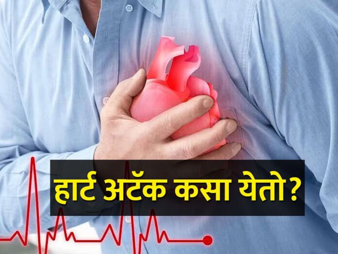 World Heart Day; What causes a heart attack? Farmers, you must know this | जागतिक हृद्य दिन; हार्ट अटॅक कशामुळे येतो? शेतकऱ्यांनो तुम्हाला हे माहित असायलाच हवे World Heart Day; What causes a heart attack? Farmers, you must know this | जागतिक हृद्य दिन; हार्ट अटॅक कशामुळे येतो? शेतकऱ्यांनो तुम्हाला हे माहित असायलाच हवे