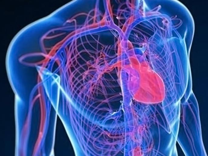 Apple and oats are beneficial for heart health | हृदयासाठी गुणकारी ठरतात नाश्त्यातील 'हे' 2 पदार्थ; आहारात करा समावेश Apple and oats are beneficial for heart health | हृदयासाठी गुणकारी ठरतात नाश्त्यातील 'हे' 2 पदार्थ; आहारात करा समावेश