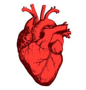 Cardiovascular surgery on 25 children in Beed in 5 years; The success of the National Child Health Program | बीडमध्ये ५ वर्षांत अडीचशे मुलांवर हृदय शस्त्रक्रिया; राष्ट्रीय बाल स्वास्थ्य कार्यक्रमाचे यश