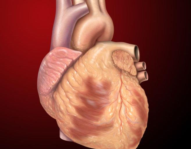 'Aortic Dissection' rare operation success in Nagpur | नागपुरात ‘एओर्टिक डिसेक्शन’ दुर्मिळ शस्त्रक्रिया यशस्वी 'Aortic Dissection' rare operation success in Nagpur | नागपुरात ‘एओर्टिक डिसेक्शन’ दुर्मिळ शस्त्रक्रिया यशस्वी