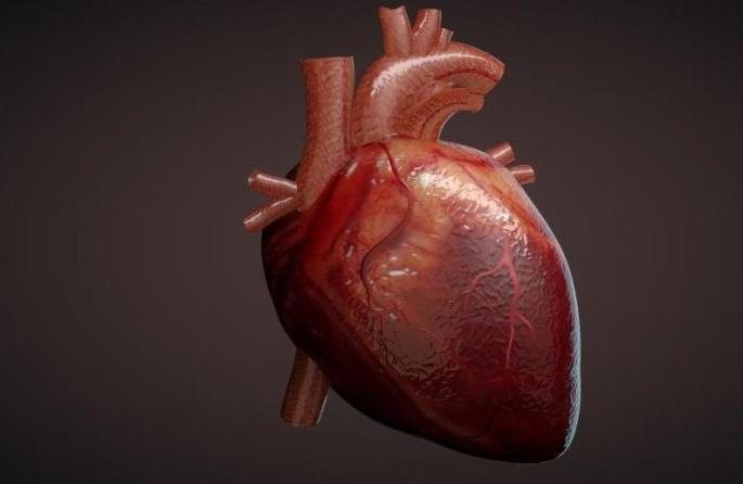 Disqualified for military service as heart moved to right | हृदय उजवीकडे सरकले असल्यामुळे सैनिकपदासाठी अपात्र ठरवले Disqualified for military service as heart moved to right | हृदय उजवीकडे सरकले असल्यामुळे सैनिकपदासाठी अपात्र ठरवले