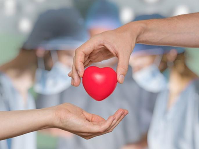 increase the number of cardiac and other surgeries on children Warning of the district surgeon to the doctors of 'RBSK' | मुलांच्या ह्रदय व इतर शस्त्रक्रियांची संख्या वाढवा; जिल्हा शल्यचिकित्सकांचा 'आरबीएसके' च्या डाॅक्टरांना इशारा increase the number of cardiac and other surgeries on children Warning of the district surgeon to the doctors of 'RBSK' | मुलांच्या ह्रदय व इतर शस्त्रक्रियांची संख्या वाढवा; जिल्हा शल्यचिकित्सकांचा 'आरबीएसके' च्या डाॅक्टरांना इशारा
