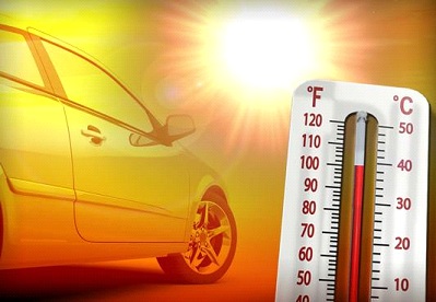 'Fever' of increasing temperature, heat and troubles to humans and pet animals | वाढत्या तापमानाचा ‘ताप’, मनुष्य आणि पाळीव जनावरांना उन्हाचा त्रास 'Fever' of increasing temperature, heat and troubles to humans and pet animals | वाढत्या तापमानाचा ‘ताप’, मनुष्य आणि पाळीव जनावरांना उन्हाचा त्रास