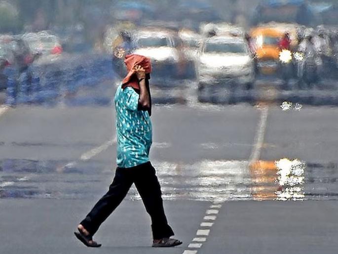 19 districts cross 45 degrees Celsius, water reserves are decreasing; Concerns raised in cabinet meeting | १९ जिल्हे ४५ अंश सेल्सिअस पार, जलसाठे घटताहेत; मंत्रिमंडळ बैठकीत चिंता 19 districts cross 45 degrees Celsius, water reserves are decreasing; Concerns raised in cabinet meeting | १९ जिल्हे ४५ अंश सेल्सिअस पार, जलसाठे घटताहेत; मंत्रिमंडळ बैठकीत चिंता
