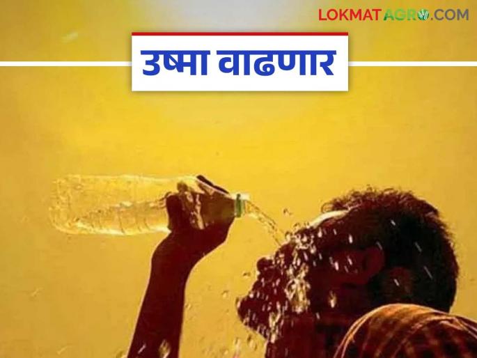 Maharashtra Weather Update : Heatwave to hit these places after Holi in the state | Maharashtra Weather Update : उष्णतेने होरपळ; राज्यात होळीनंतर या ठिकाणी येणार उष्णतेची लाट Maharashtra Weather Update : Heatwave to hit these places after Holi in the state | Maharashtra Weather Update : उष्णतेने होरपळ; राज्यात होळीनंतर या ठिकाणी येणार उष्णतेची लाट