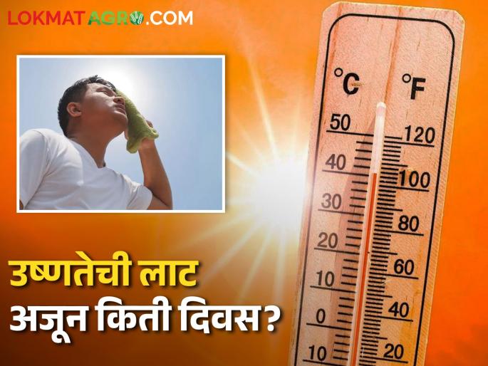 Weather Update; How many more days of heat wave? | Maharashtra Weather Update; राज्यात अजून किती दिवस उष्णतेची लाट? Weather Update; How many more days of heat wave? | Maharashtra Weather Update; राज्यात अजून किती दिवस उष्णतेची लाट?
