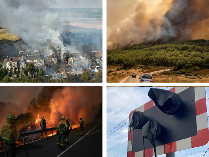 Europe Heatwave: Terrible heat wave Crisis; Heatwave kills more than 1700 in Spain, Portugal and Britain; Thousands of hectares of forest destroyed | Europe Heatwave: भीषण संकट; उष्णतेच्या लाटेने स्पेन, पोर्तुगाल आणि ब्रिटनमध्ये 1700 हून अधिक मृत्यू; हजारो हेक्टर जंगल नष्ट Europe Heatwave: Terrible heat wave Crisis; Heatwave kills more than 1700 in Spain, Portugal and Britain; Thousands of hectares of forest destroyed | Europe Heatwave: भीषण संकट; उष्णतेच्या लाटेने स्पेन, पोर्तुगाल आणि ब्रिटनमध्ये 1700 हून अधिक मृत्यू; हजारो हेक्टर जंगल नष्ट