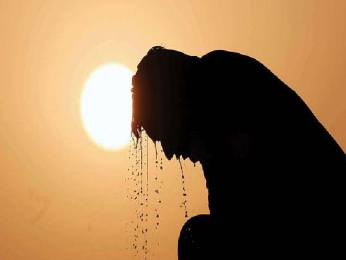 Sun's wrath on Aurad Shahjani area; Temperature 44 degrees, 11 deaths in eleven days | औराद शहाजानी परिसरावर सूर्याचा कोप; तापमान ४४ अंशावर, अकरा दिवसांत ११ जणांचा मृत्यू Sun's wrath on Aurad Shahjani area; Temperature 44 degrees, 11 deaths in eleven days | औराद शहाजानी परिसरावर सूर्याचा कोप; तापमान ४४ अंशावर, अकरा दिवसांत ११ जणांचा मृत्यू