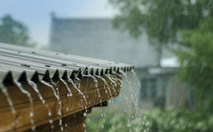 Vidarbha has received heavy rain June 23 | २३ जूनपासून विदर्भात सार्वत्रिक दमदार पाऊस  Vidarbha has received heavy rain June 23 | २३ जूनपासून विदर्भात सार्वत्रिक दमदार पाऊस