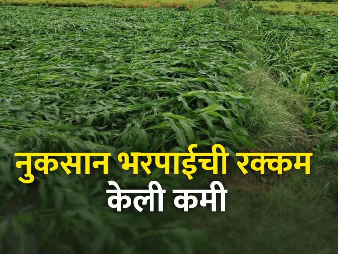 The area of hectare assistance has been increased | हेक्टरी मदतीचे क्षेत्र वाढविले