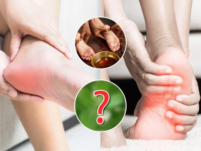 Ayurvedic Home Remedy For Heel Pain Heal Heel Pain Faster with Ayurveda Home Remedies For Heel Pain Heal your Heel Pain with Ayurveda | रस्त्याच्या कडेला असणाऱ्या 'या' झाडाची पानं आहेत गुणकारी, टाचदुखी होईल कमी पाहा पारंपरिक उपाय...