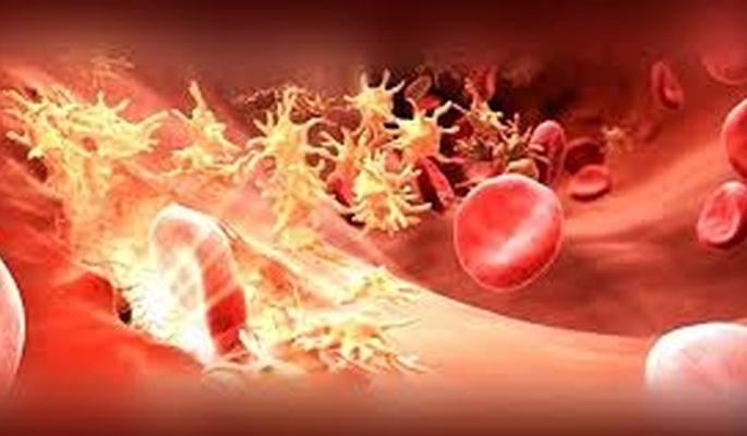 Hemophilia patients hit by lockdown! | हिमोफिलियाच्या रुग्णांना लॉकडाऊनचा फटका! Hemophilia patients hit by lockdown! | हिमोफिलियाच्या रुग्णांना लॉकडाऊनचा फटका!