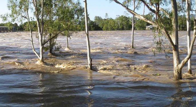 Government's refusal to help natural disasters | नैसर्गिक आपत्तीच्या मदतीला शासनाची नकारघंटा Government's refusal to help natural disasters | नैसर्गिक आपत्तीच्या मदतीला शासनाची नकारघंटा