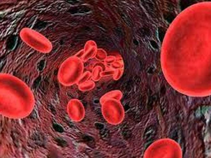 Hemophilia now being treated in Akola! | हिमोफिलियावर आता अकोल्यातच उपचार! Hemophilia now being treated in Akola! | हिमोफिलियावर आता अकोल्यातच उपचार!