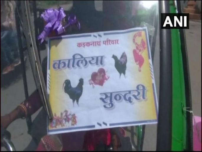 invitation card for Rooster wedding in Chhattisgarh | आमच्या कोंबड्याच्या लग्नाला यायचं हं; अनोख्या आमंत्रणाची गावभर चर्चा invitation card for Rooster wedding in Chhattisgarh | आमच्या कोंबड्याच्या लग्नाला यायचं हं; अनोख्या आमंत्रणाची गावभर चर्चा