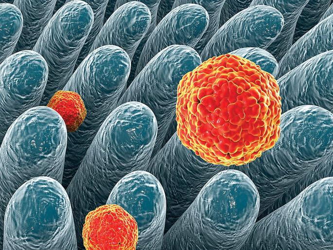 Hepatitis A and E increase by 8% | हॅपेटायटिस ‘ए’ आणि ‘ई’मध्ये २१ टक्क्यांनी वाढ Hepatitis A and E increase by 8% | हॅपेटायटिस ‘ए’ आणि ‘ई’मध्ये २१ टक्क्यांनी वाढ